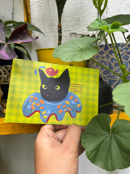 Postcards : Set of 4
