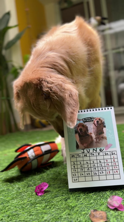 2025 Desk Calendar - Date(s) with Leo and Ollie